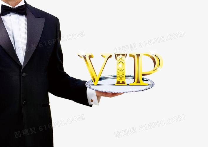 vip管家是做什么的游戏截图