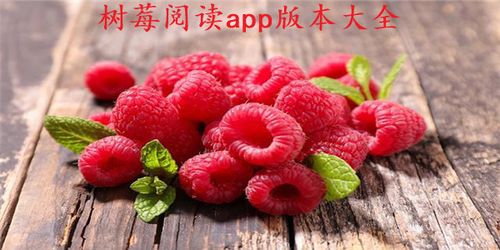 树莓阅读改名叫什么了缩略图