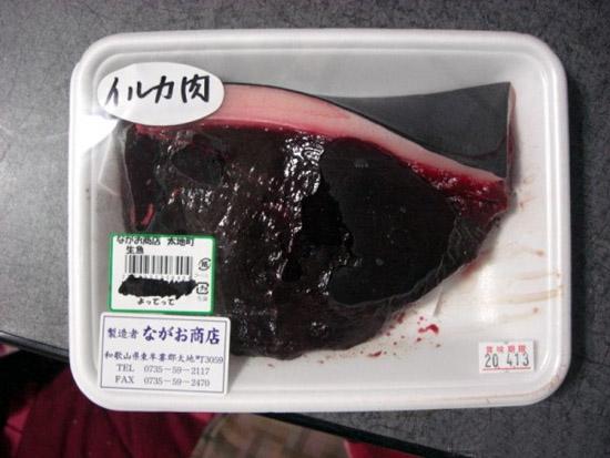 海豚肉游戏截图