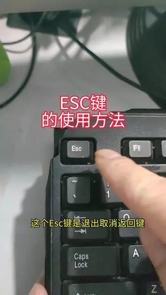 电脑键盘esc键的功能缩略图