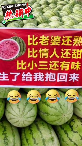 西瓜广告语游戏截图