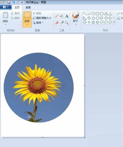 怎么把头像变成圆形头像缩略图