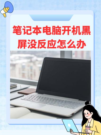 苹果手机屏幕黑了但是有反应怎么了游戏截图