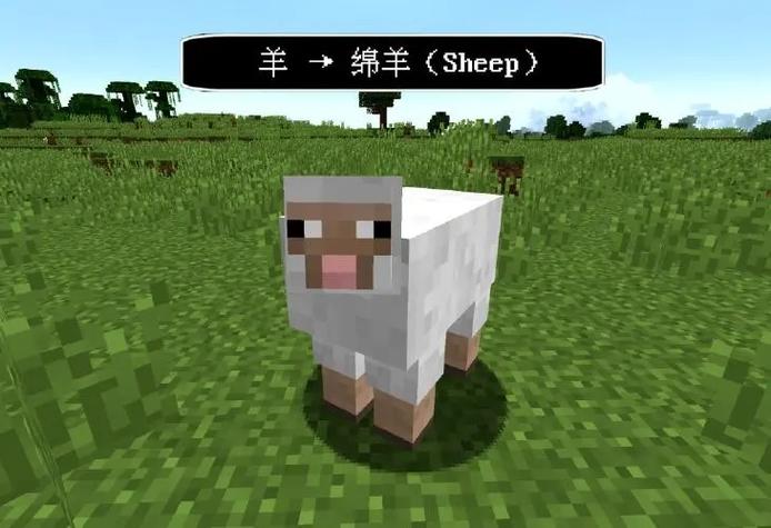 我的世界羊用什么吸引游戏截图