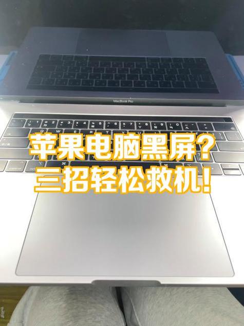 苹果笔记本用着突然黑屏游戏截图