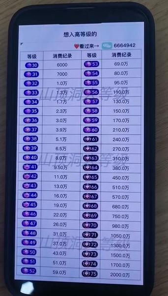 抖音等级1-60价目表游戏截图