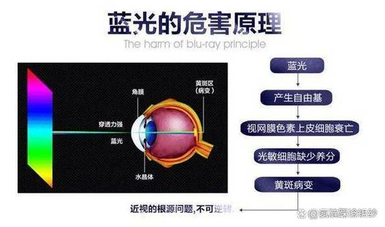 蓝光紫光哪个护眼好游戏截图