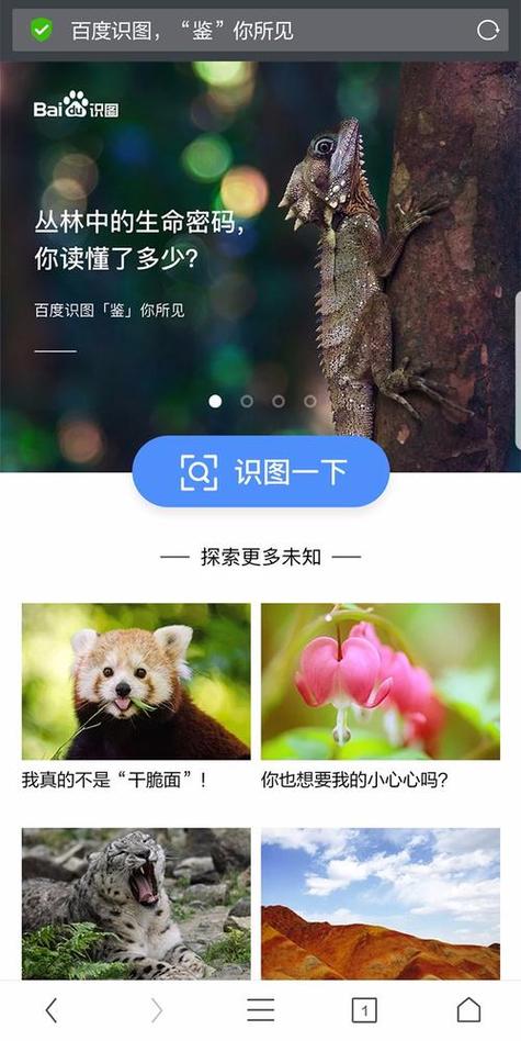识图百度识图图标