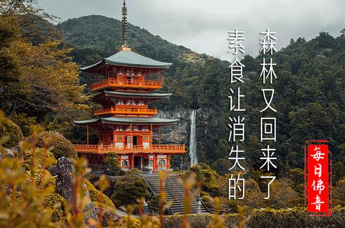 制作视频暂停效果缩略图