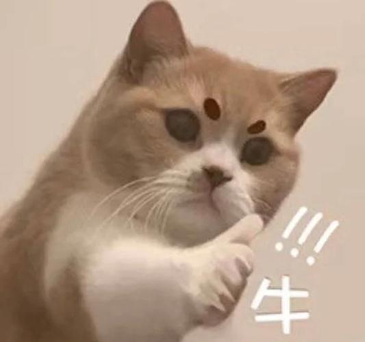 赞美表情包图片大全缩略图