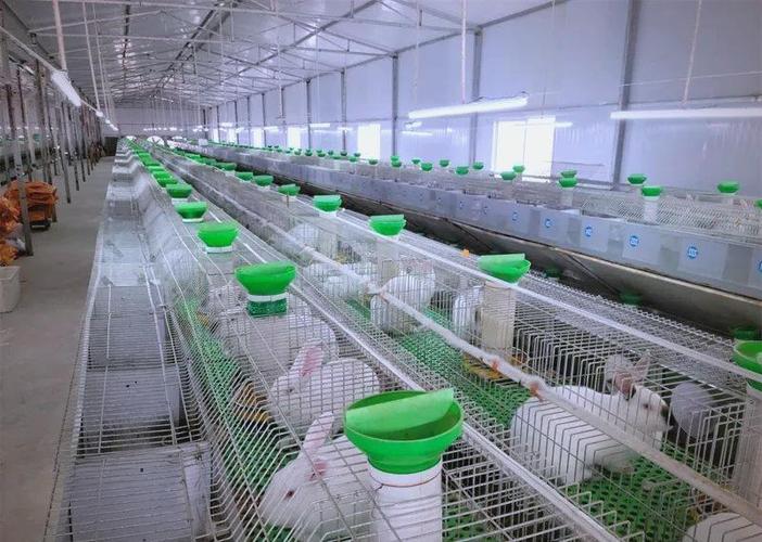 兔子深加工厂缩略图
