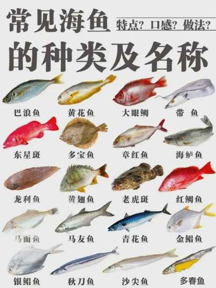 海鱼都有什么品种缩略图