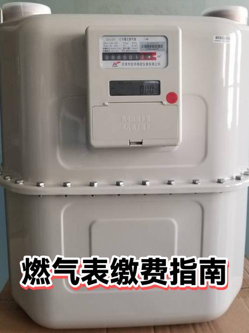 燃气每月几号缴费缩略图