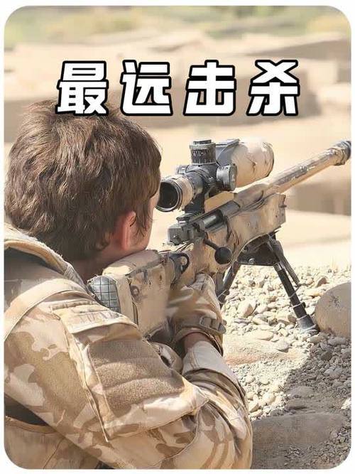 狙击枪射击距离排行游戏截图