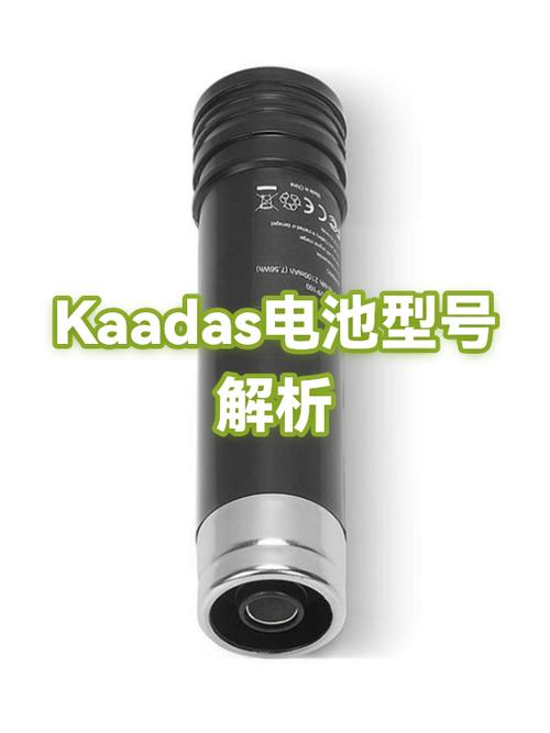 凯迪仕电池怎么充电游戏截图