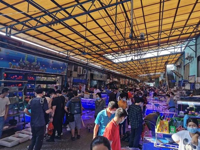 东莞最大花鸟鱼虫市场在哪里图标