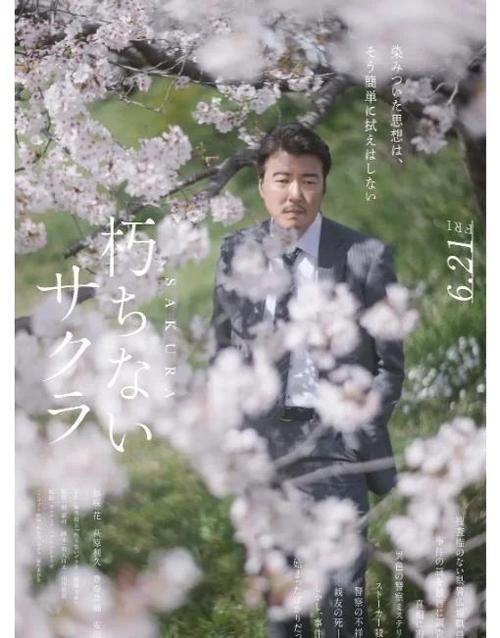 白色的樱花是什么品种游戏截图