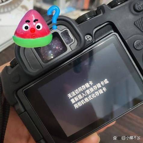 尼康相机储存卡被锁怎么办游戏截图