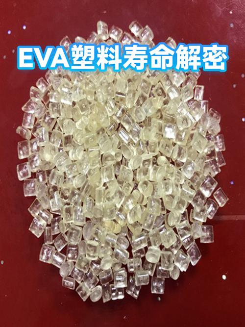 eva一般寿命几年缩略图