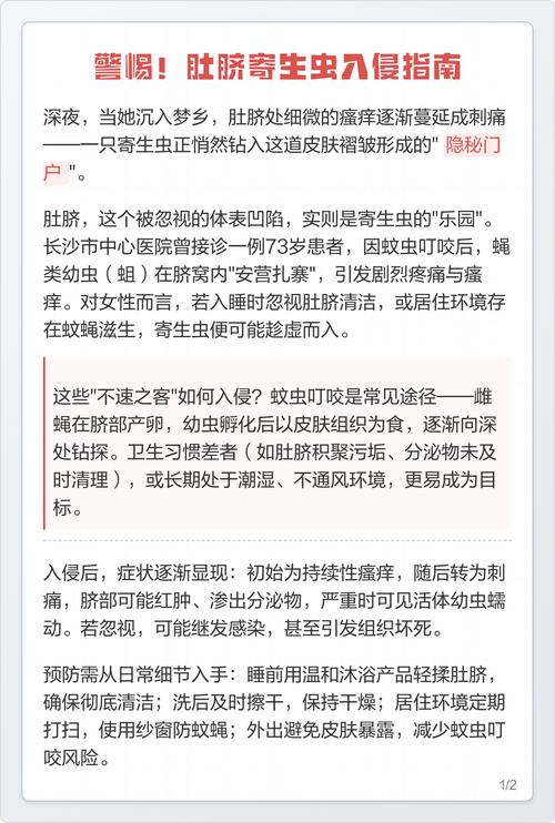 寄生虫从屁股钻进女性肚子缩略图