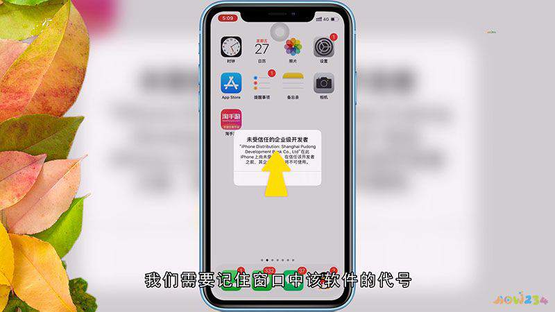 苹果手机怎么设置受信任app缩略图