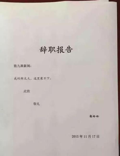 辞职报告游戏截图