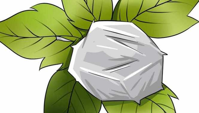 孕妇可以吃薄荷吗缩略图