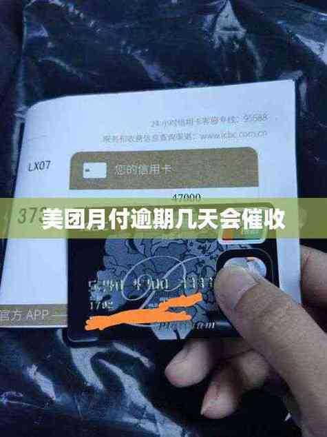 美团月付逾期三天游戏截图