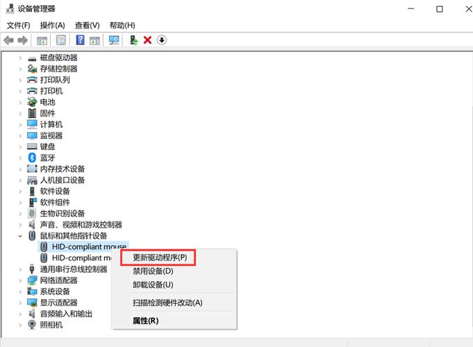 联想触摸板左右键没反应缩略图