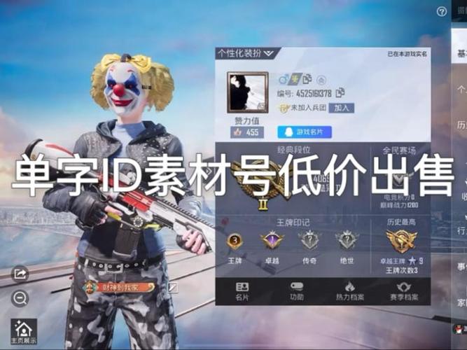 和平精英职业选手ID游戏截图