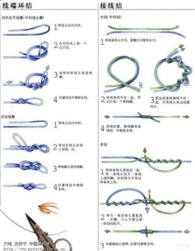 一般钓鲫鱼用几号八字环缩略图