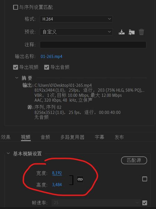 pr导入的视频没画面呢游戏截图