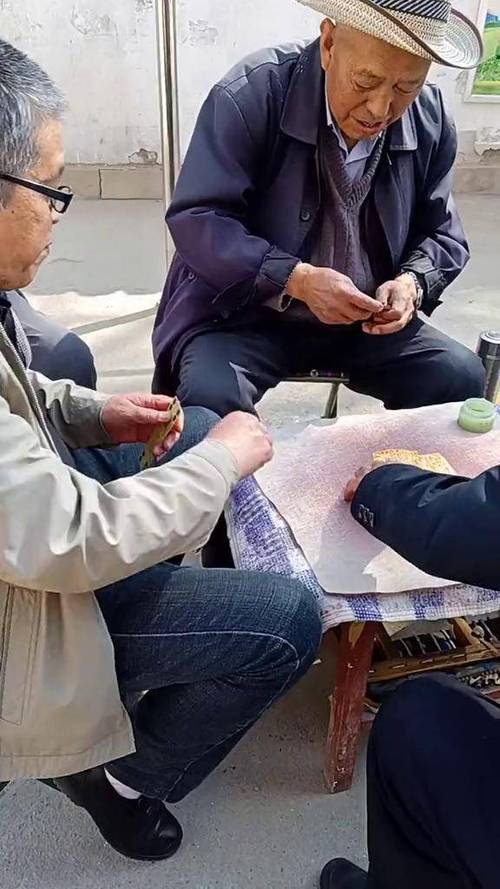 甘肃掀牛游戏缩略图