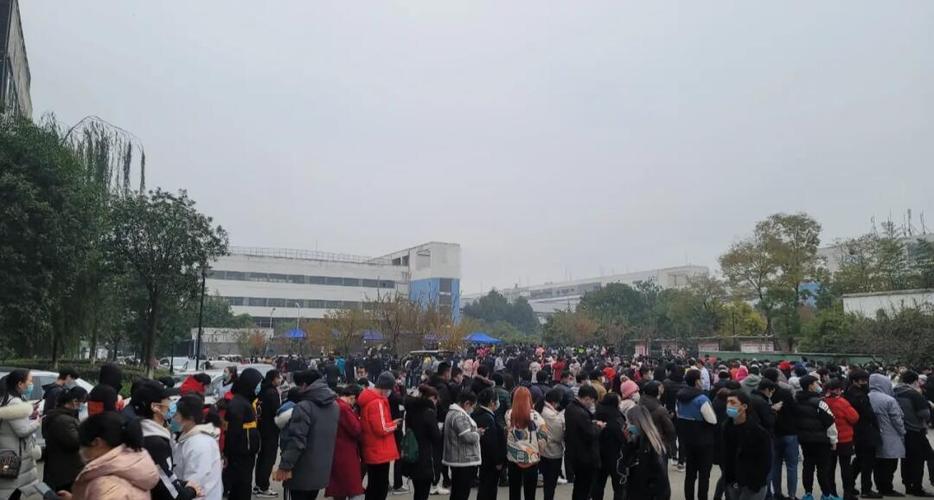 富士康工资待遇游戏截图