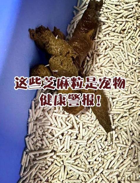 芝麻粒会过期吗缩略图