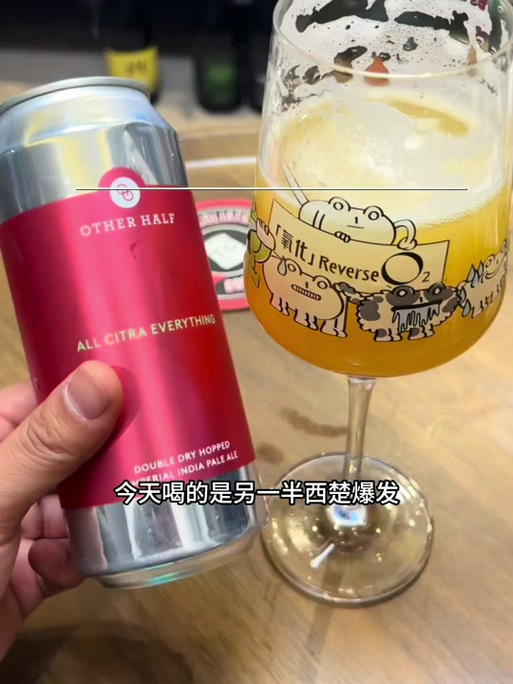 ipa分享网站图标