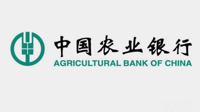 中国农业银行企业银行下载缩略图