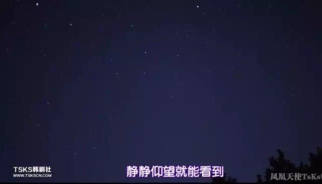 蓝大胆为何不建议养缩略图