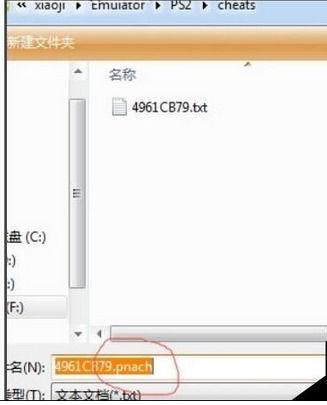 小鸡模拟器nds金手指怎么用游戏截图