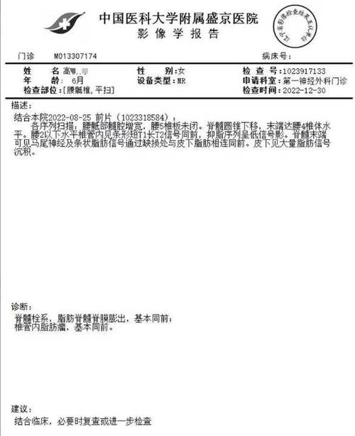 掌上盛京医院检查报告缩略图