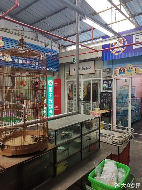 浦东花鸟市场地址大全游戏截图