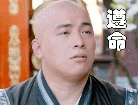 遵命TXT下载游戏截图