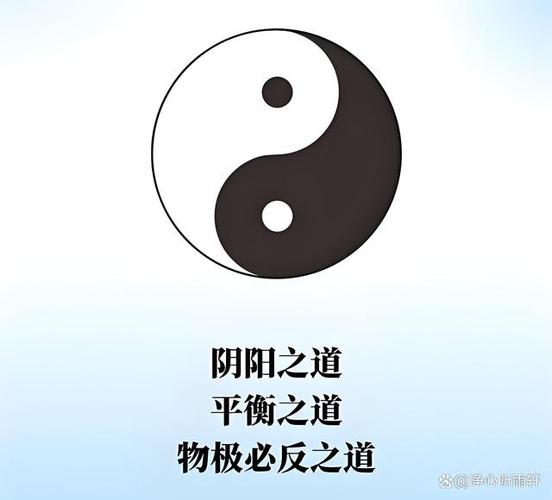 阴阳之术缩略图