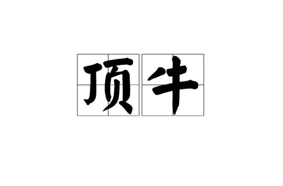 下载河北顶牛缩略图