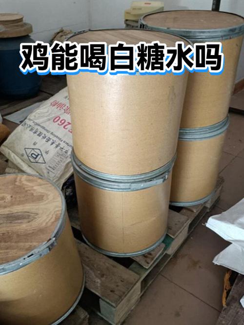 鸡可以喝白糖水吗缩略图