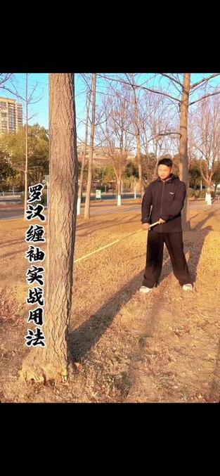 36式鞭杆分解教学缩略图