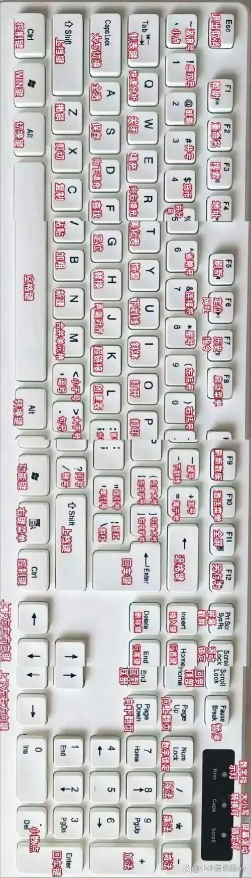 中文→英文翻译缩略图