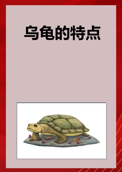 乌龟的特点有哪些特征呢游戏截图