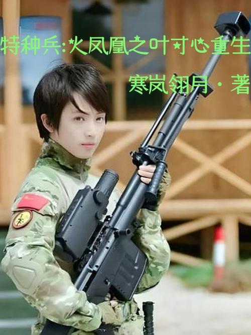 烈火凤凰加强版(小说)缩略图