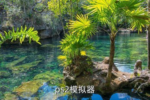 悟饭PS2插件缩略图